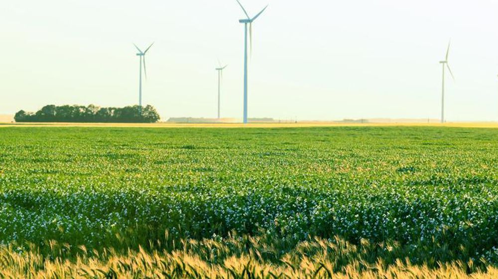 Les prix indicatifs des terres 2019 se basent sur la moyenne des biens vendus durant les trois dernières années. © Philippe Montigny/Filimages